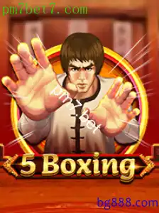 5Boxing